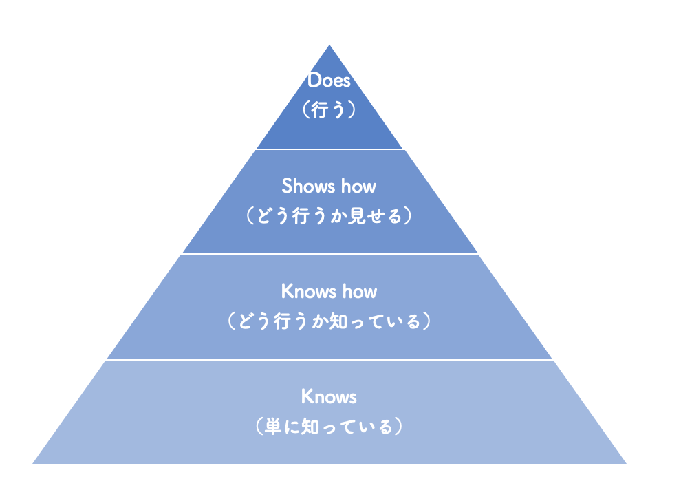 ミラー 学習ピラミッド